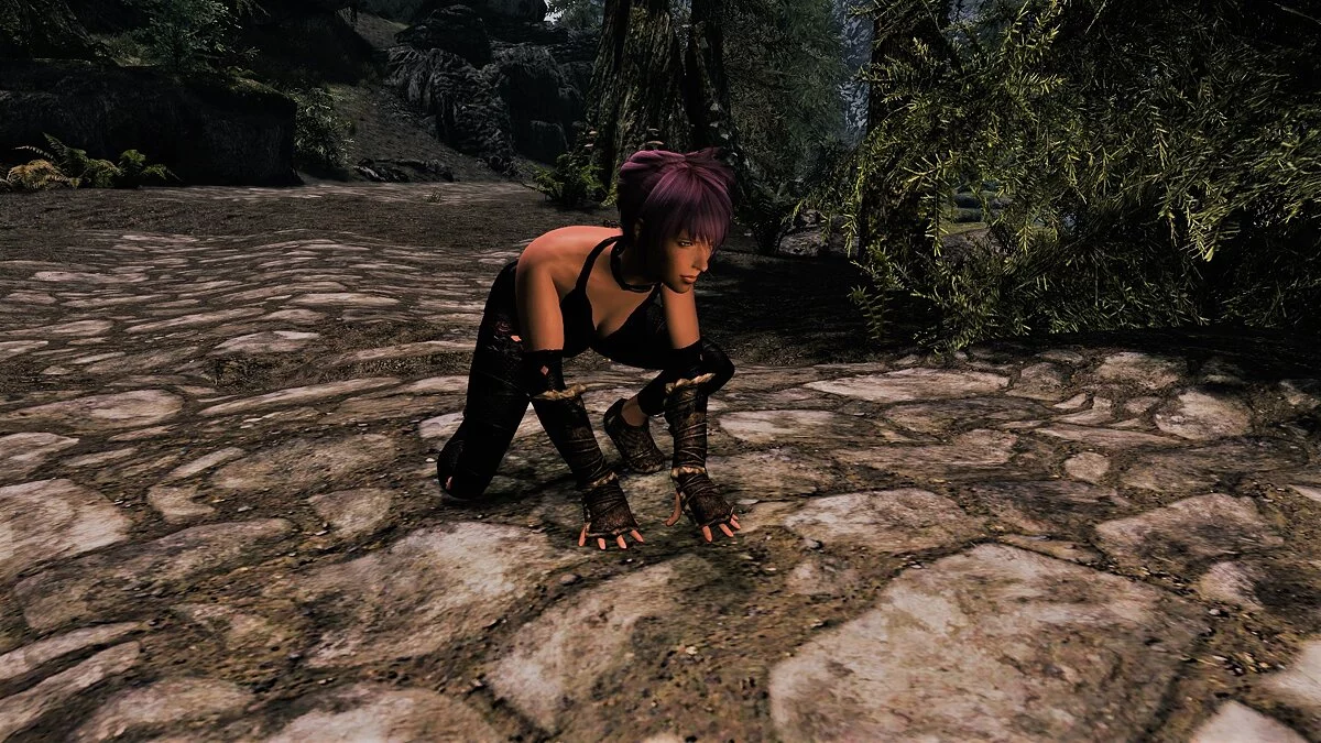 The Elder Scrolls 5: Skyrim Legendary Edition — Ползай на четвереньках