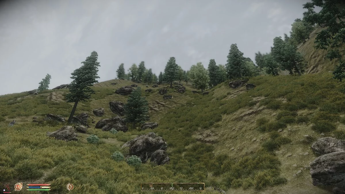 The Elder Scrolls 4: Oblivion — Ускорение прокачки