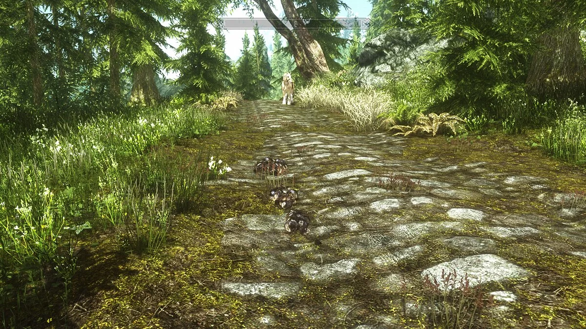 The Elder Scrolls 5: Skyrim Legendary Edition — Конский навоз