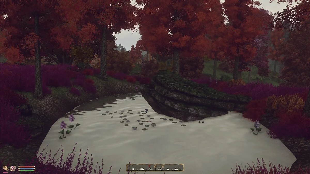 The Elder Scrolls 4: Oblivion — Новые ориентиры