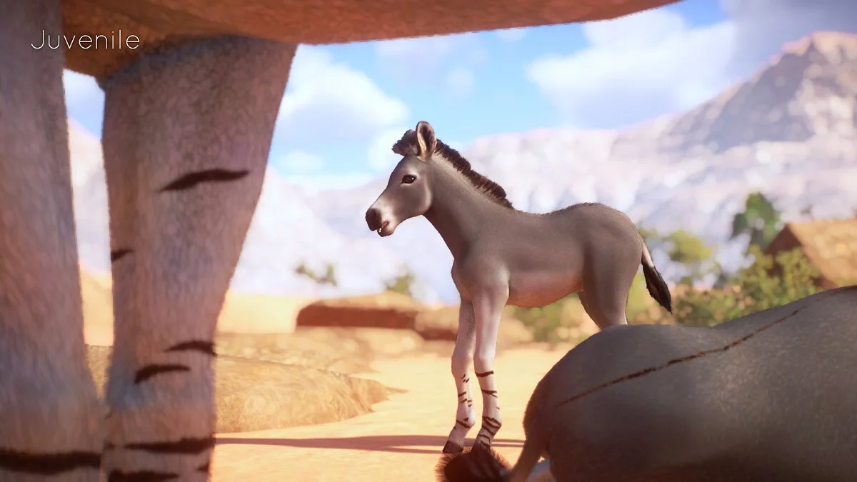 Planet Zoo — Сомалийский дикий осел