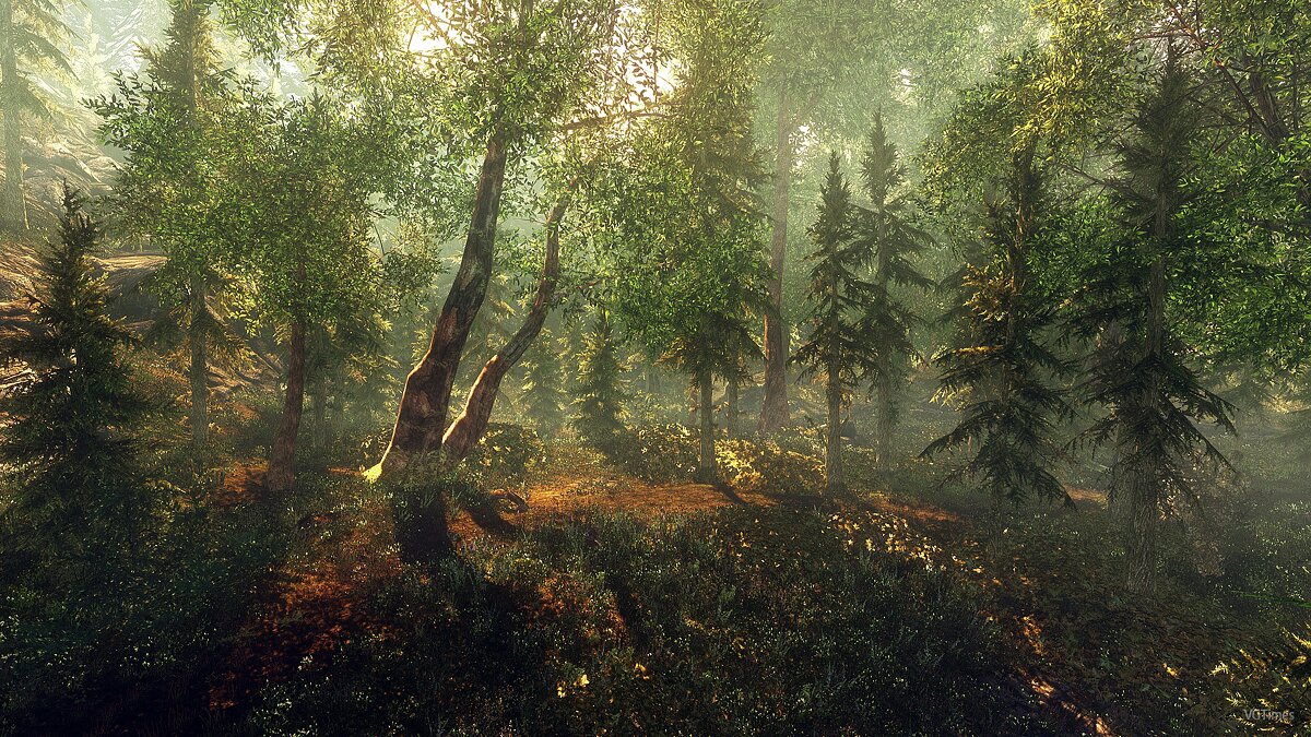 The Elder Scrolls 5: Skyrim — Новые деревья и кусты