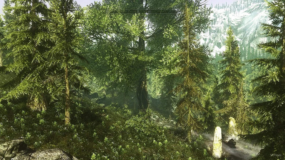 The Elder Scrolls 5: Skyrim — Новые деревья и кусты