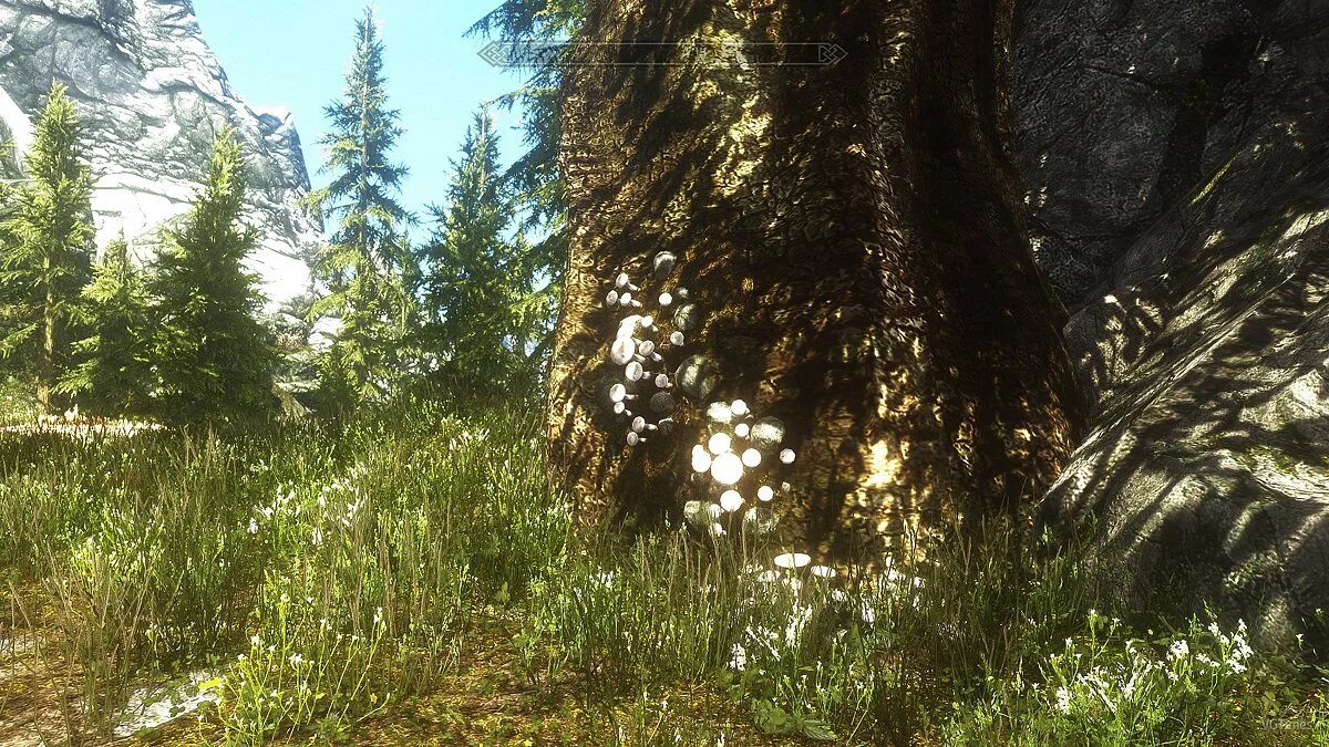 The Elder Scrolls 5: Skyrim — Новые деревья и кусты