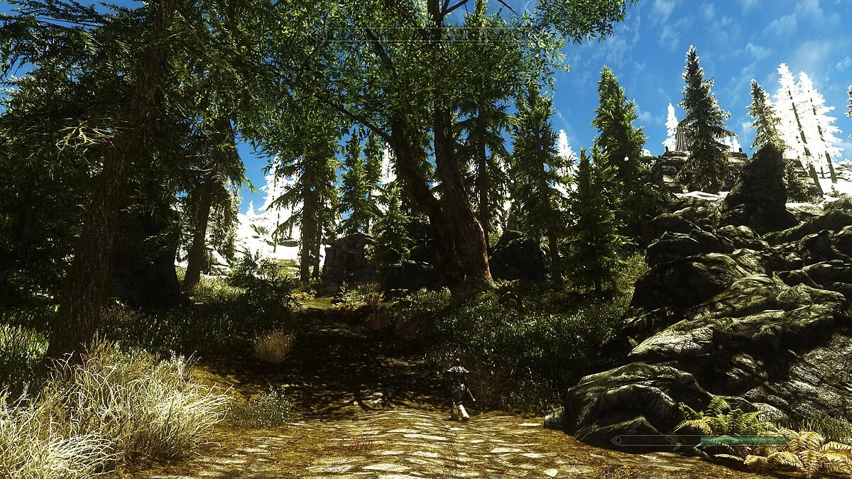 The Elder Scrolls 5: Skyrim — Новые деревья и кусты