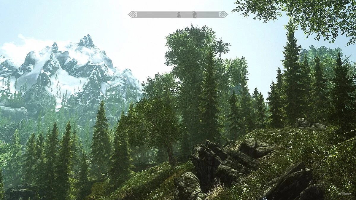 The Elder Scrolls 5: Skyrim — Новые деревья и кусты