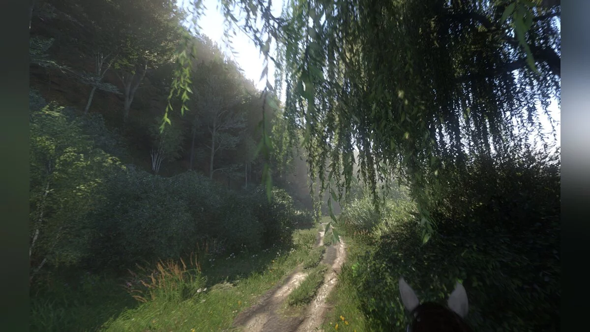 Kingdom Come: Deliverance — Минималистичный HUD