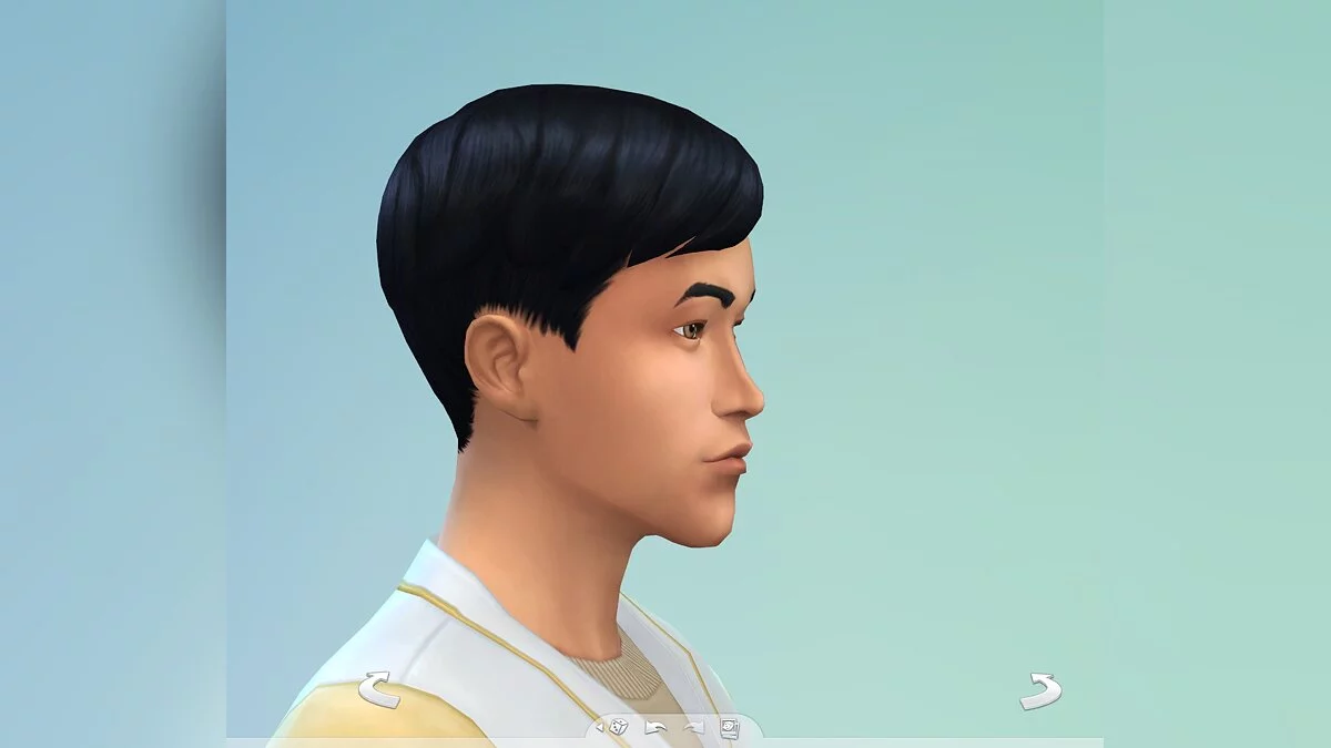 The Sims 4 — Пресет Брюс Ли
