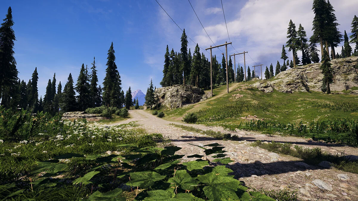 Far Cry 5 — Зеленый округ Хоуп