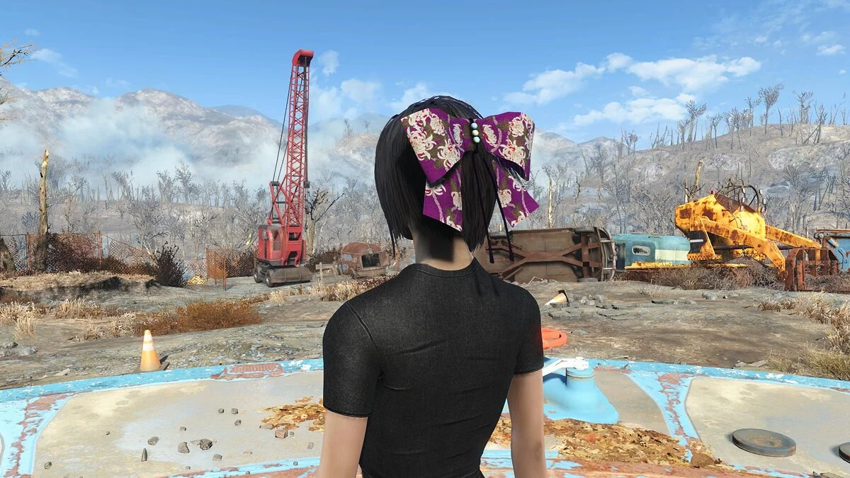 Fallout 4: Game of the Year Edition — Ленты для волос