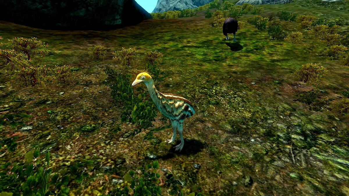 The Elder Scrolls 5: Skyrim Legendary Edition — Казуары