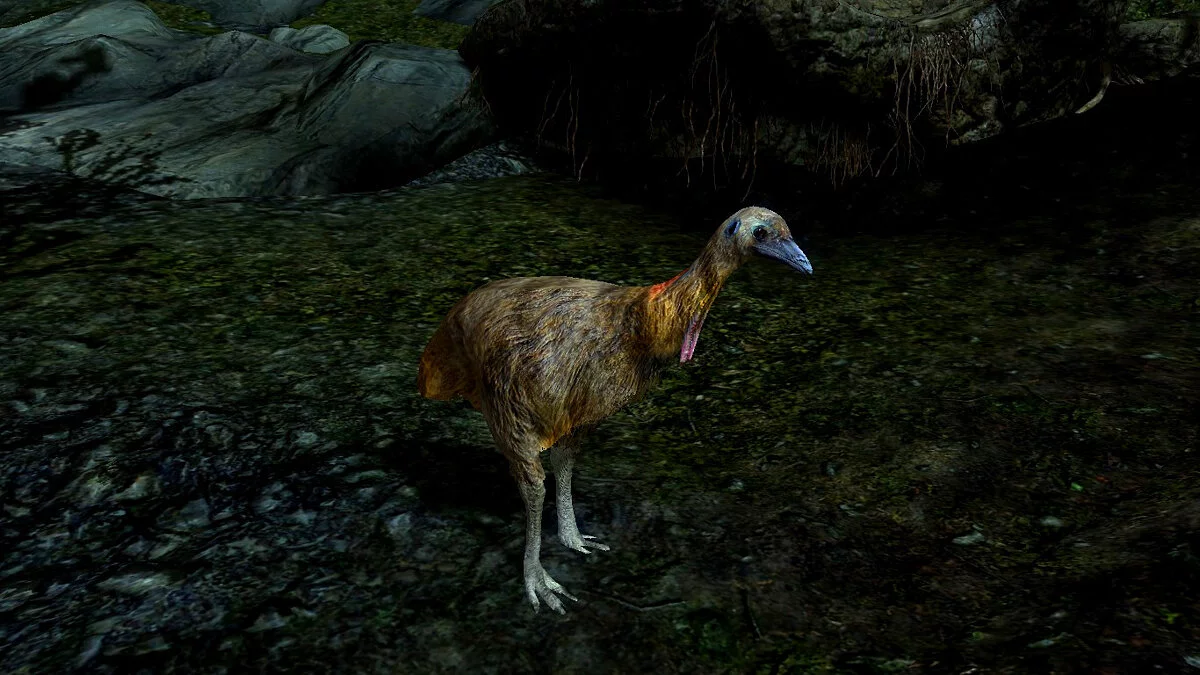 The Elder Scrolls 5: Skyrim Legendary Edition — Казуары