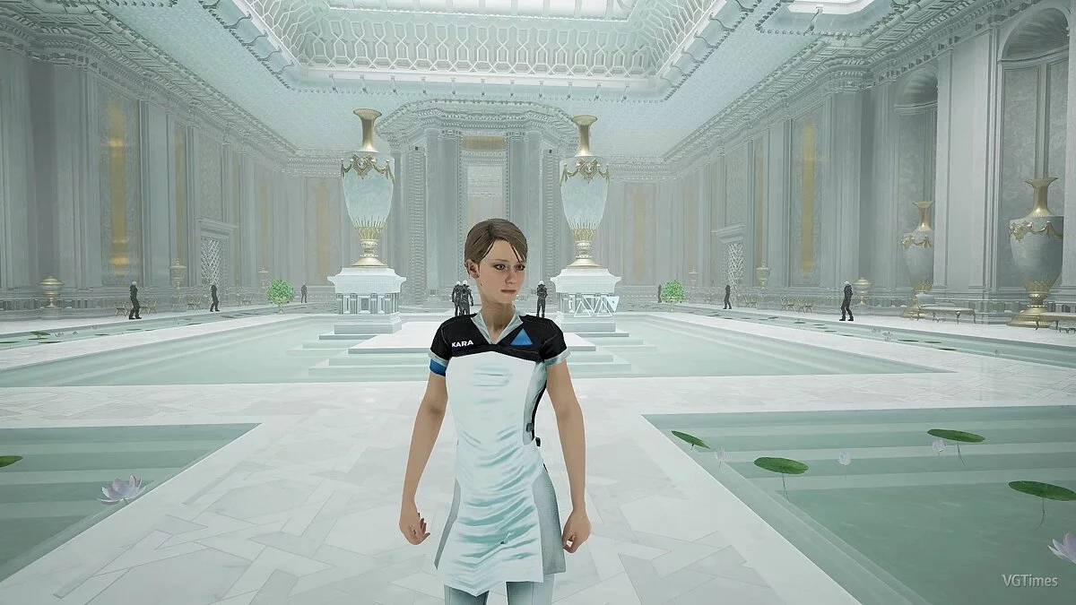 ECHO — Кара из Detroit Become Human