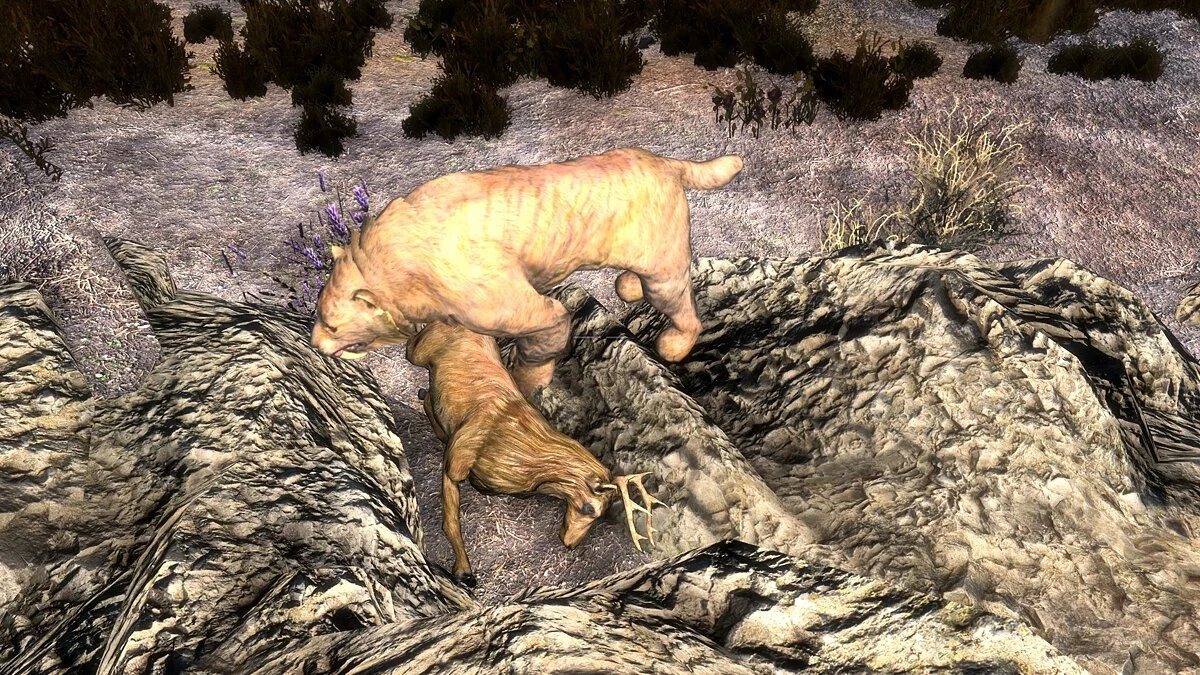 Elder Scrolls 5: Skyrim Special Edition — Хищники едят мертвых