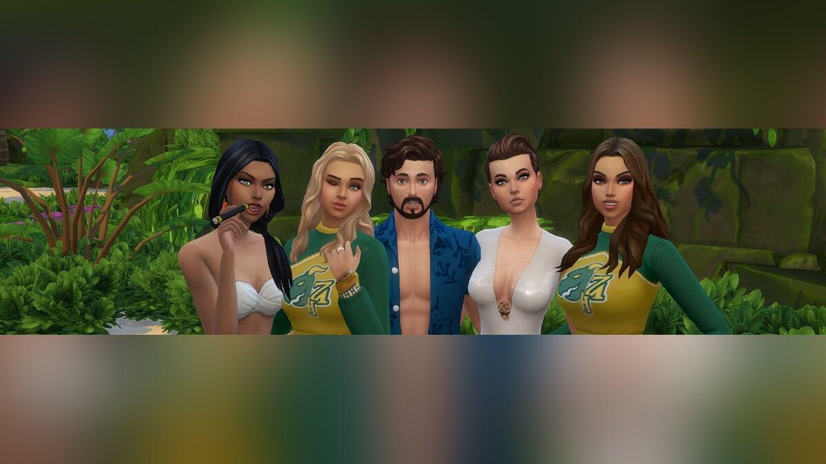   -  The Sims 4