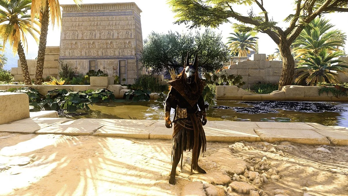 Assassin's Creed: Origins — Кинематографическая графика