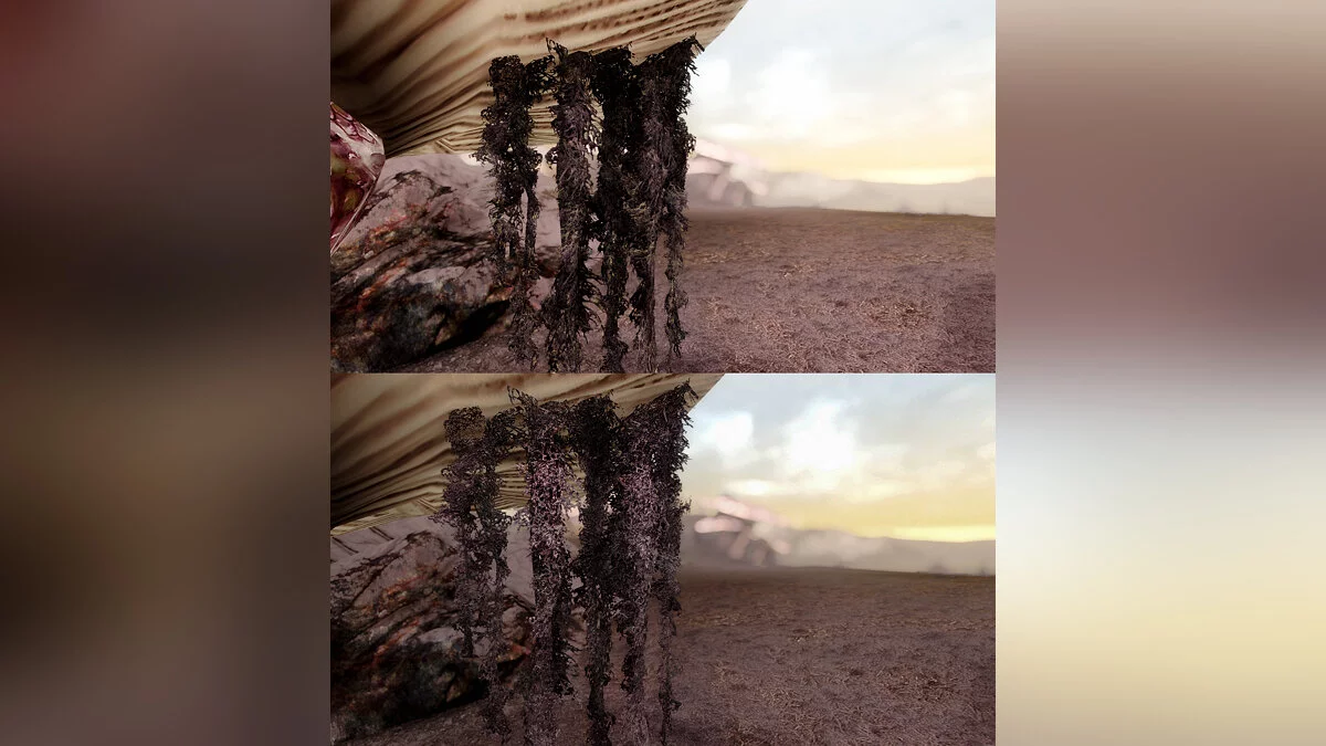 Elder Scrolls 5: Skyrim Special Edition — Висячий мох в 1К и 2К