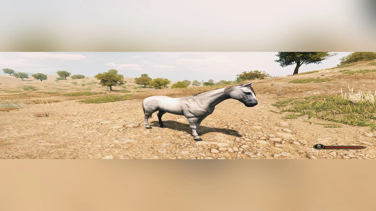 Mount &amp; Blade 2: Bannerlord — Новая лошадь