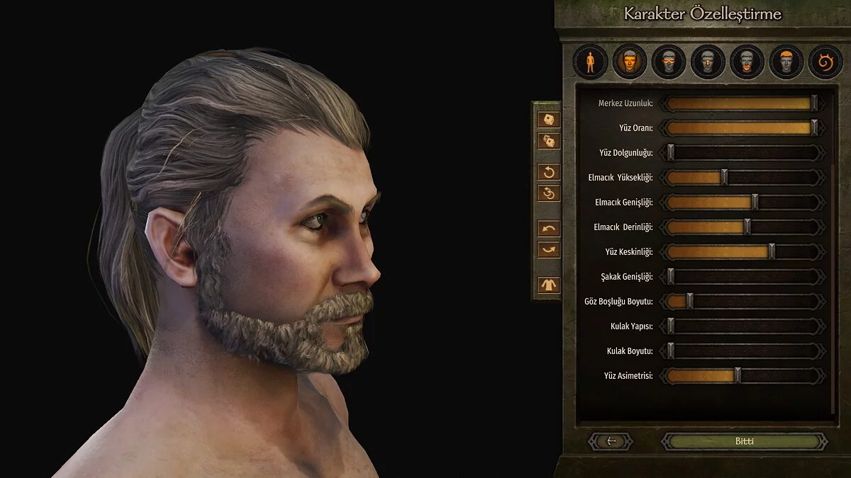 Mount & Blade 2: Bannerlord — Геральт из Ривии