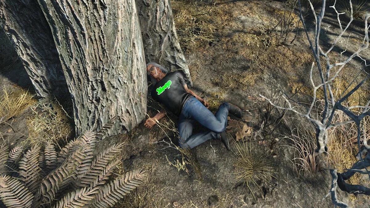 Fallout 4: Game of the Year Edition — Марихуана