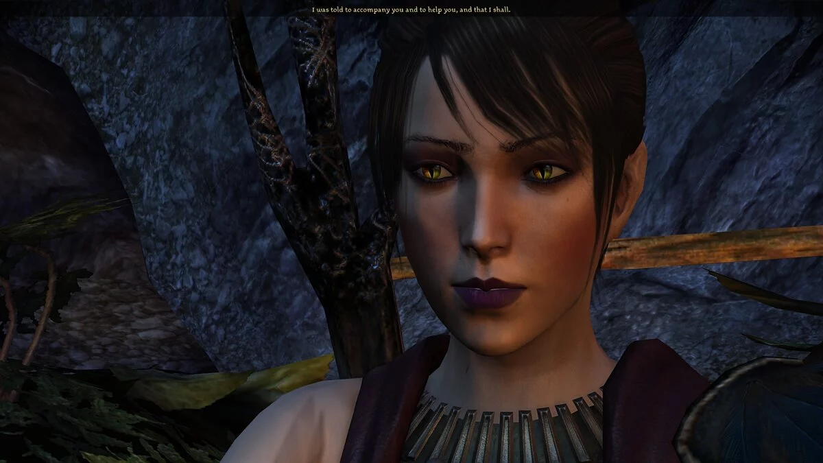 Dragon Age: Origins — Милая Морриган