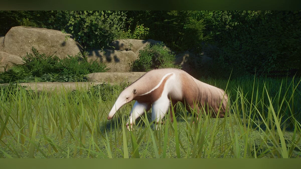 Planet Zoo — Улучшенный муравьед