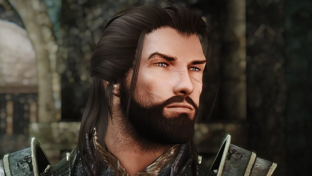 Elder Scrolls 5: Skyrim Special Edition — Компаньон Лорд Генри де Сильва