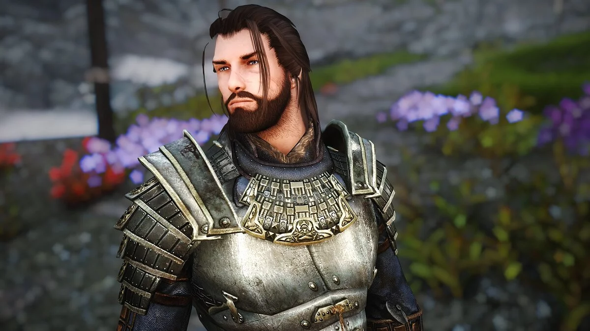 Elder Scrolls 5: Skyrim Special Edition — Компаньон Лорд Генри де Сильва