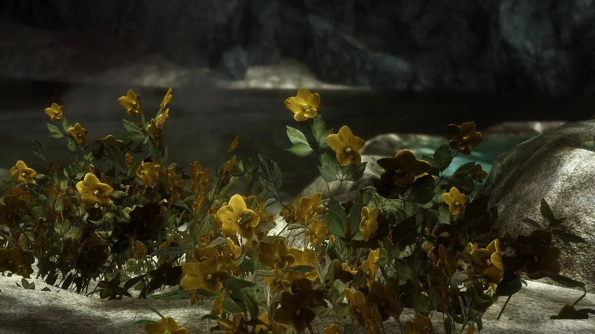 Elder Scrolls 5: Skyrim Special Edition — Улучшенный Горноцвет