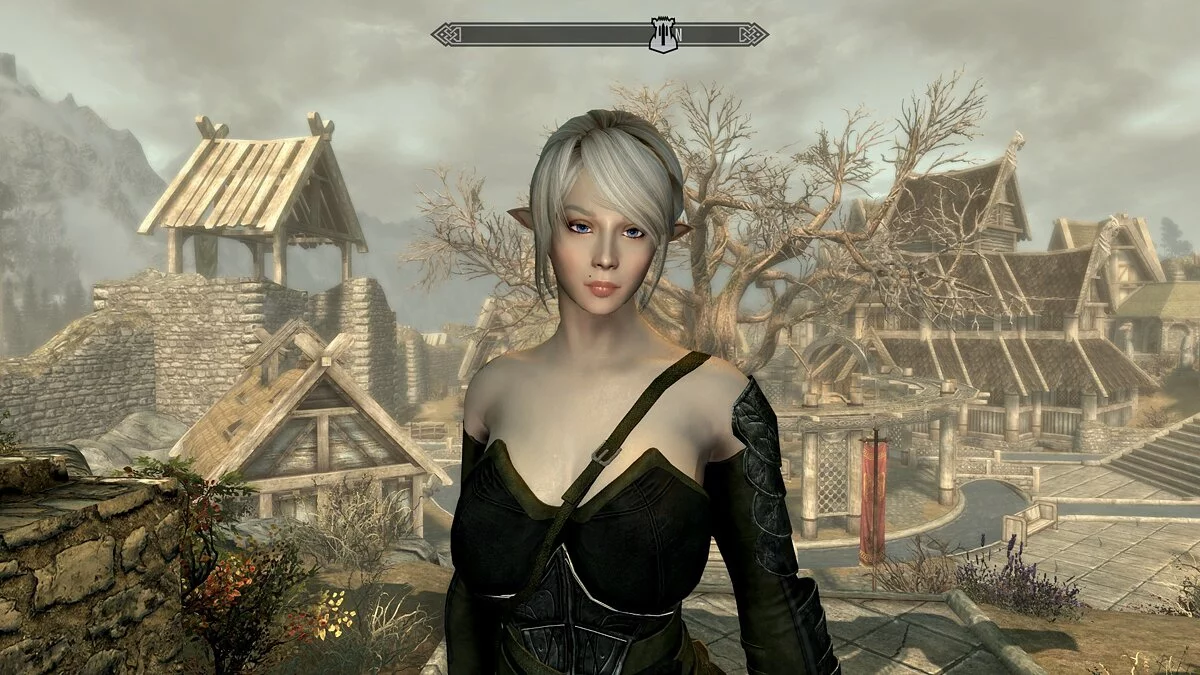 Elder Scrolls 5: Skyrim Special Edition — Компаньон Нина