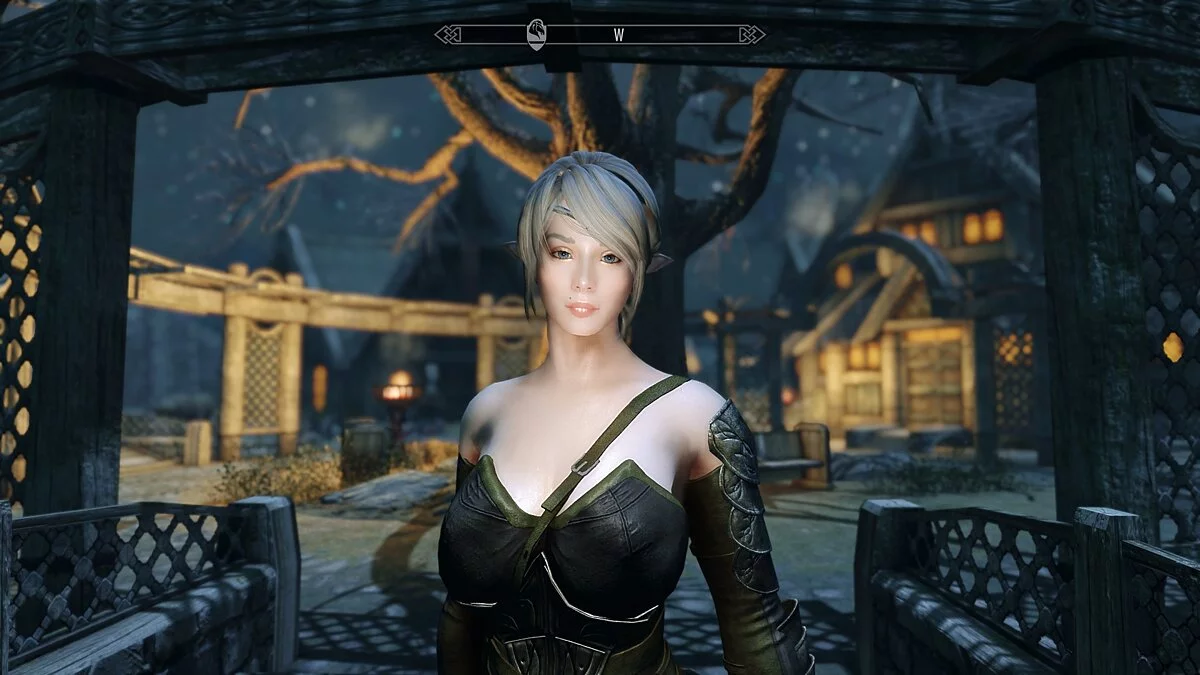 Elder Scrolls 5: Skyrim Special Edition — Компаньон Нина