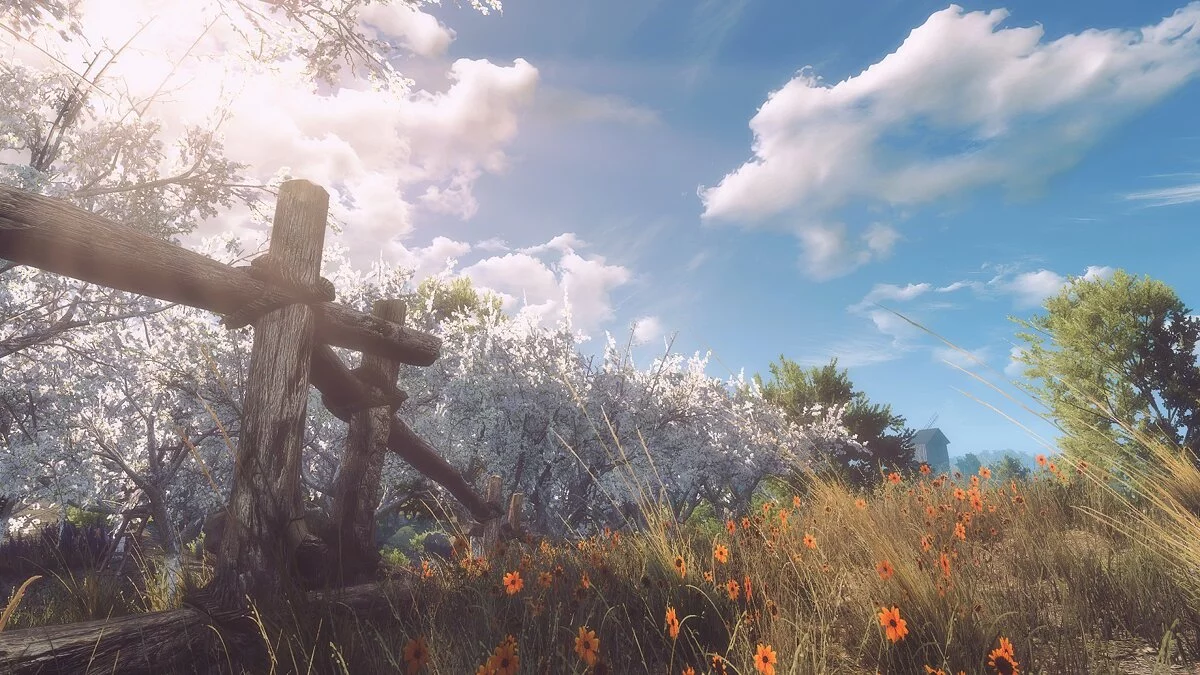 The Witcher 3: Wild Hunt - Complete Edition — Улучшенная графика