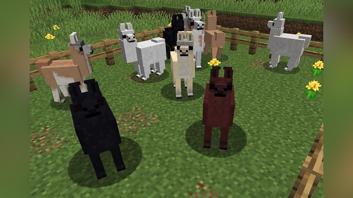 Minecraft — Genetic Animals - реалистичные животные, генетика [1.15.2]  [Forge] / Моды и скины