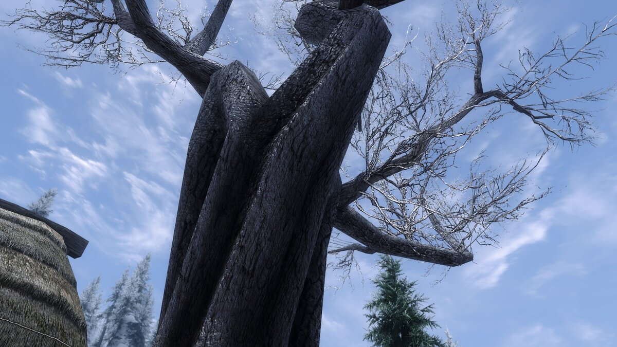 Elder Scrolls 5: Skyrim Special Edition — Высохшие деревья в HD