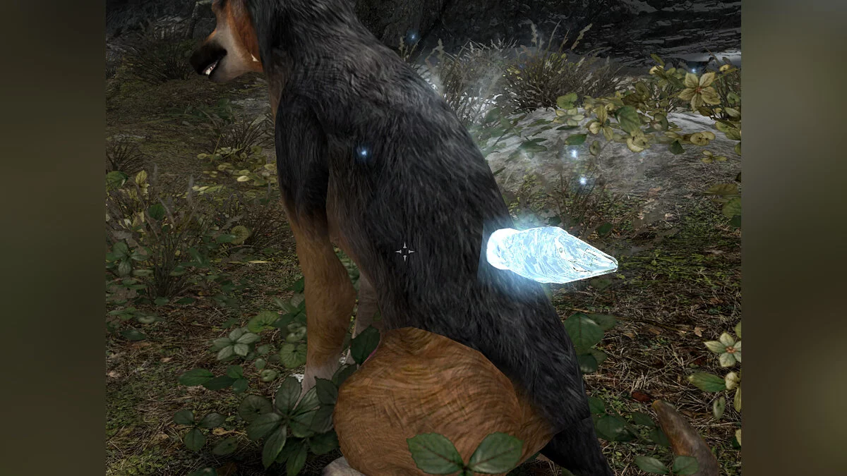 Elder Scrolls 5: Skyrim Special Edition — Улучшенные ледяные стрелы