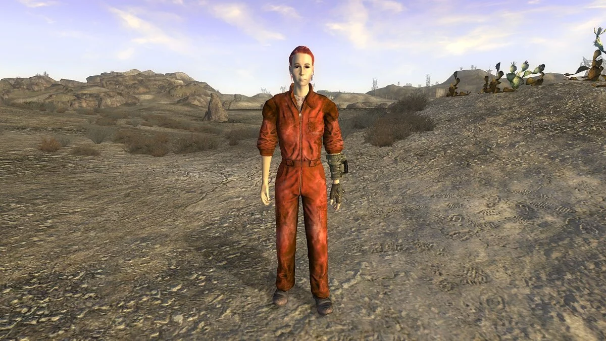 Fallout: New Vegas — Бронированная одежда