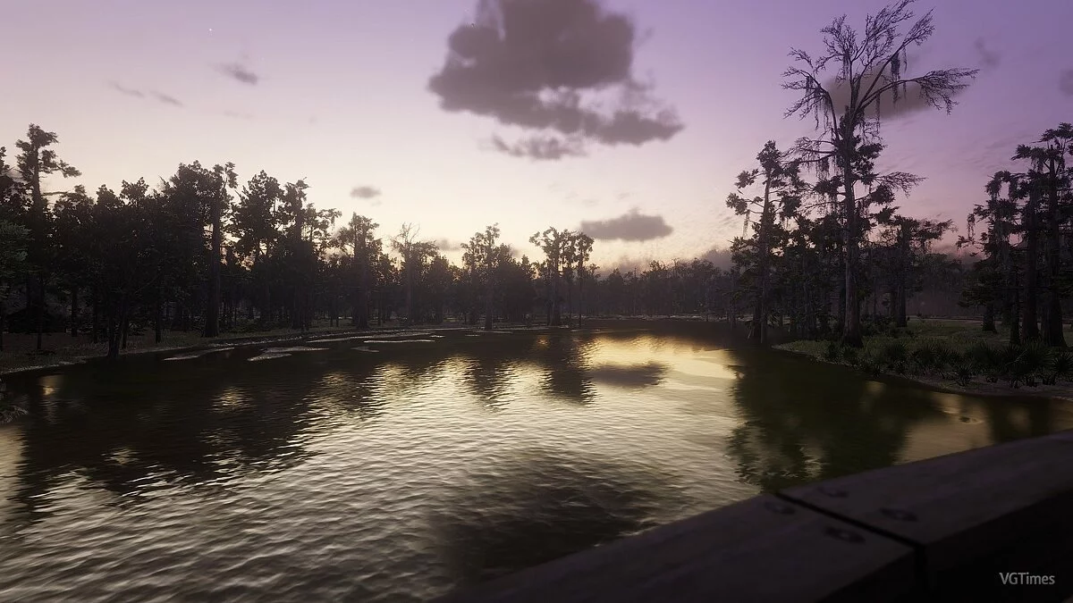 Red Dead Redemption 2 — Сохранение (Пройден сюжет, Блэкуотер не исследован, 84,8% прохождение)