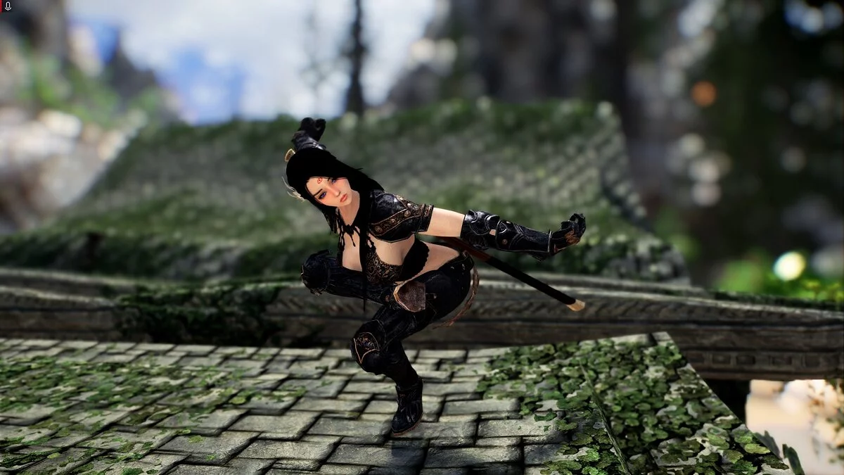 Elder Scrolls 5: Skyrim Special Edition — Позы кунг-фу
