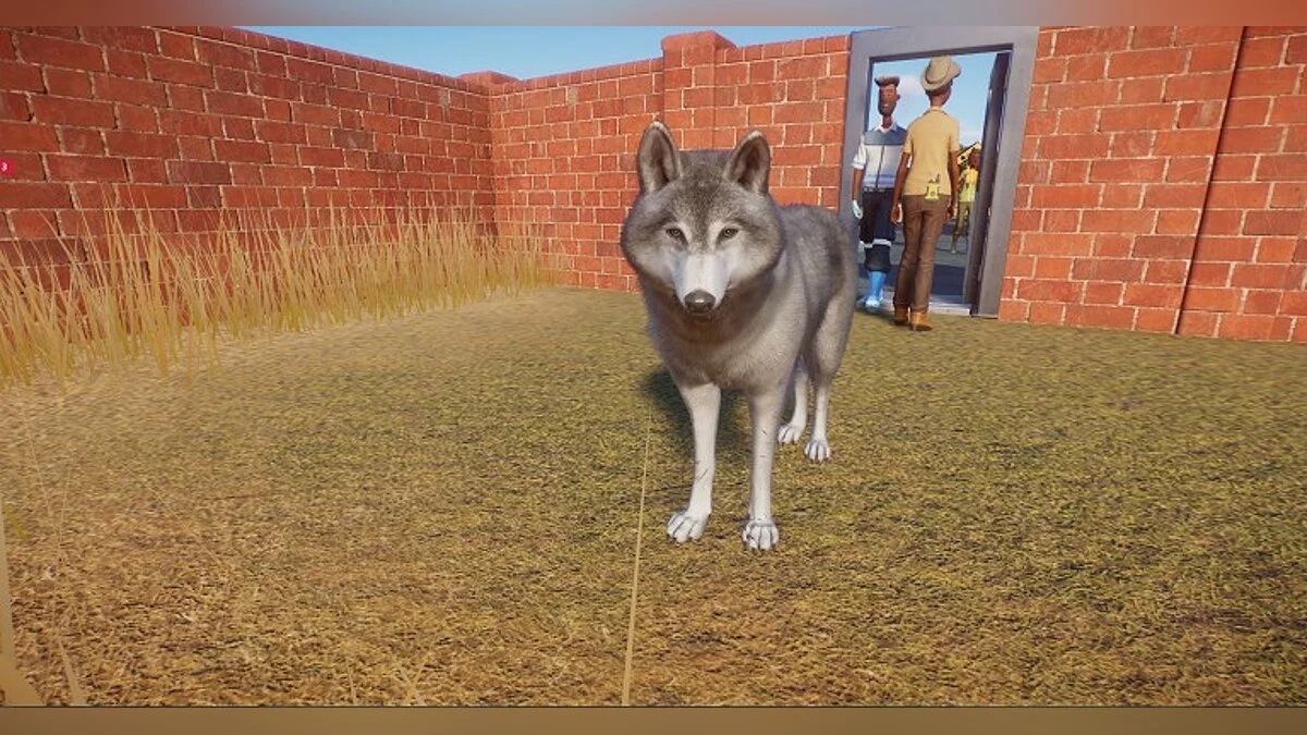 Planet Zoo — Серые и черные волки