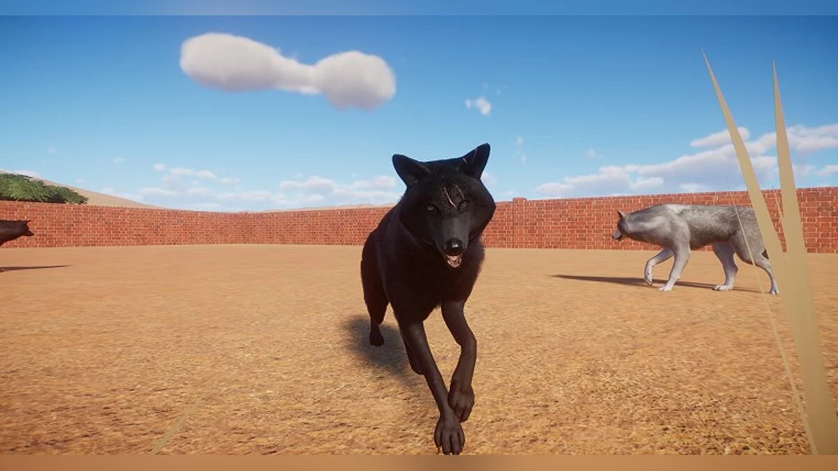 Planet Zoo — Серые и черные волки