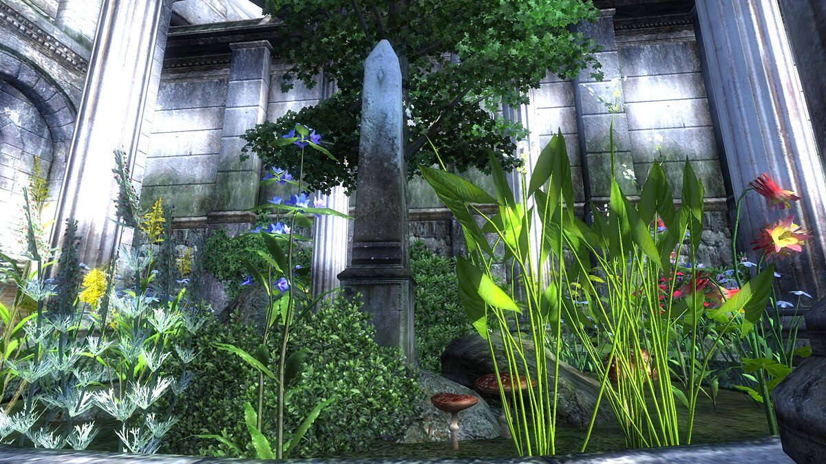 The Elder Scrolls 4: Oblivion — Сбор урожая во время ожидания