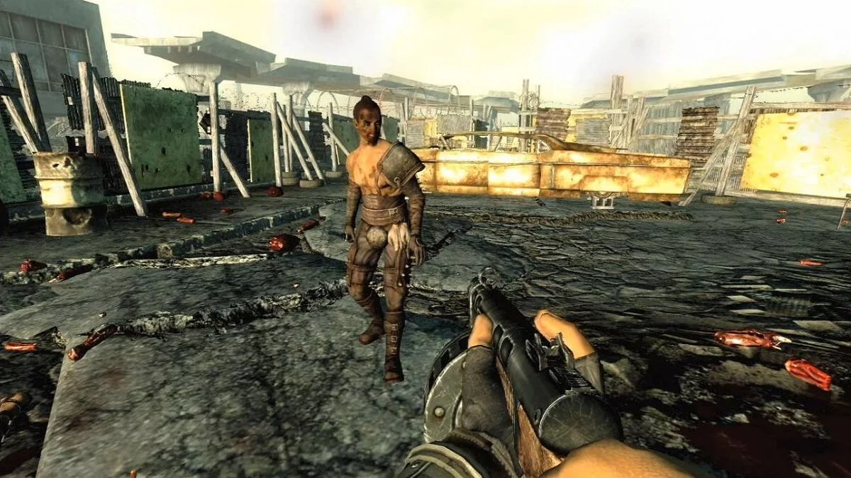 Fallout 3 — Рейдеры застрельщики