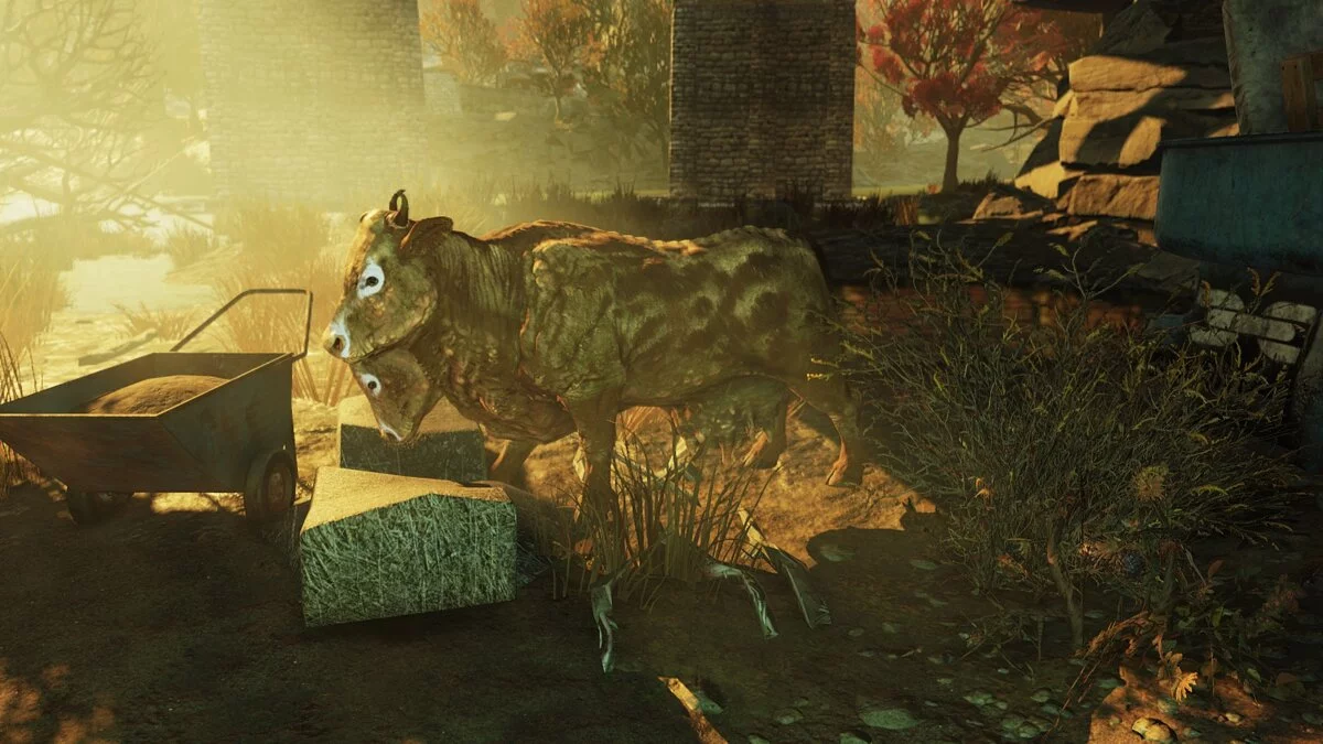 Fallout 76 — Улучшенный брамин