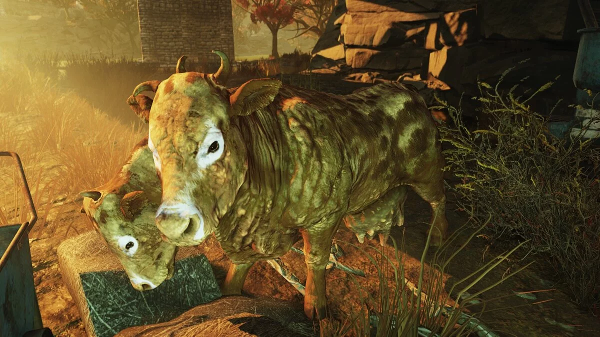 Fallout 76 — Улучшенный брамин