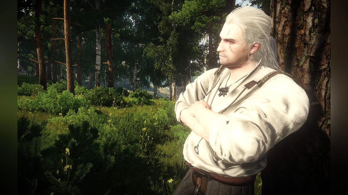 The Witcher 3: Wild Hunt - Complete Edition — Толстый Геральт из Ривии
