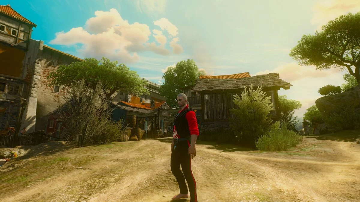 The Witcher 3: Wild Hunt - Complete Edition — 262 новых аниме предметов