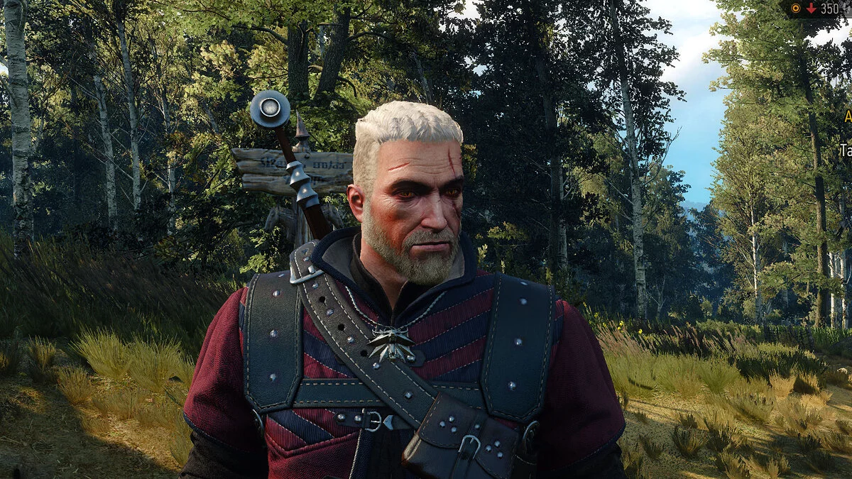 The Witcher 3: Wild Hunt - Complete Edition — Стрижка в стиле викингов