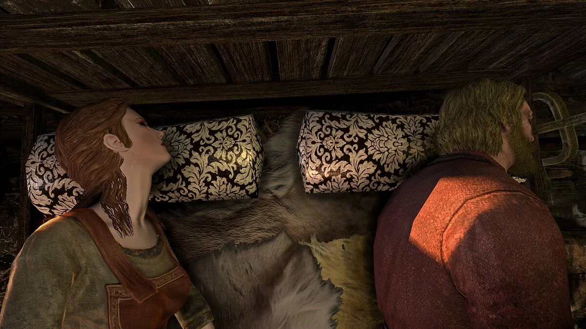 The Elder Scrolls 5: Skyrim Legendary Edition — Улучшенные подушки