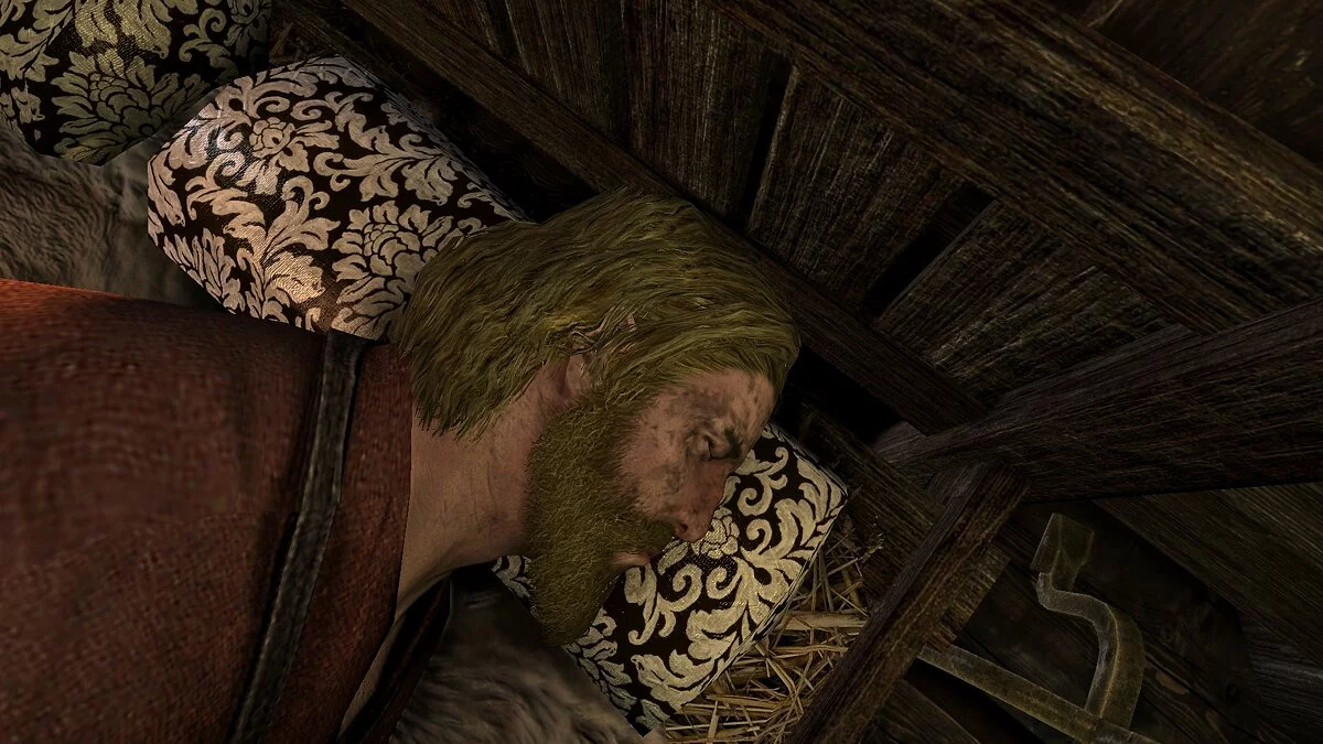 The Elder Scrolls 5: Skyrim Legendary Edition — Улучшенные подушки