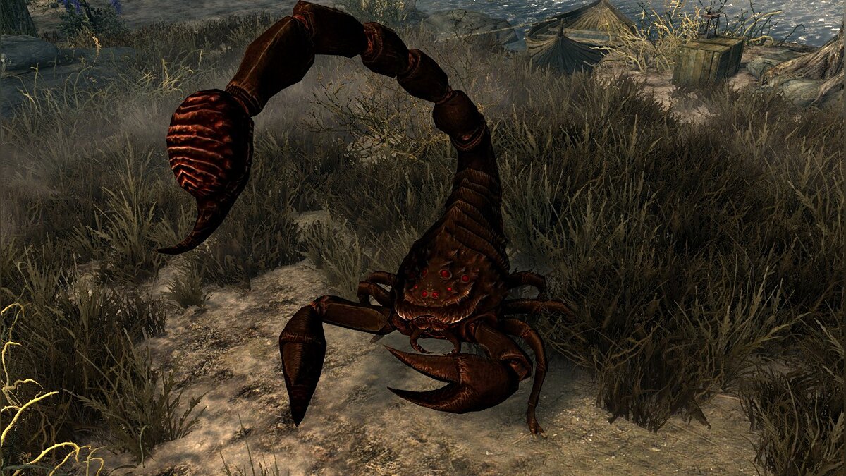 Elder Scrolls 5: Skyrim Special Edition — Гигантские скорпионы